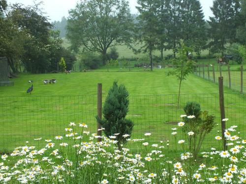 Bed & Breakfast La Jolimessine