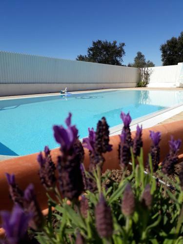 Hostal Guest House Aldeia