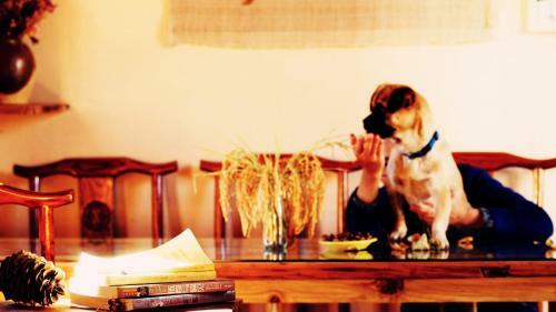 Hostal Shaxi Miss May Hotel
