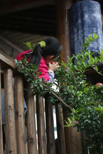 Hostal Shaxi Miss May Hotel