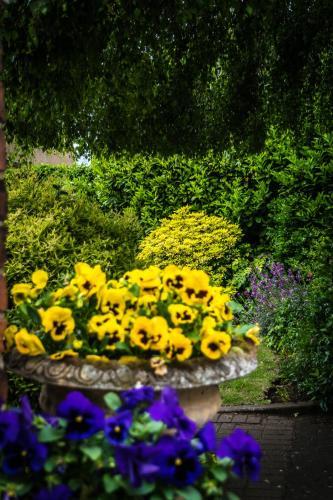 The Country Cottage Hotel