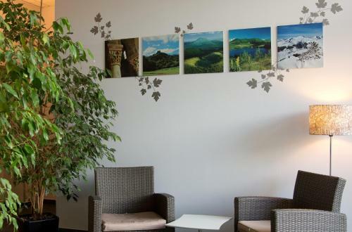 Hotel Logis Le Pariou - Le Jardin