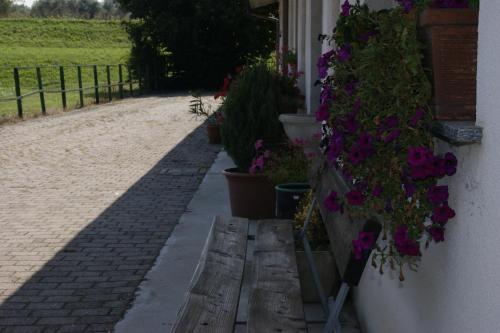 Agroturismo Agriturismo La Valbona