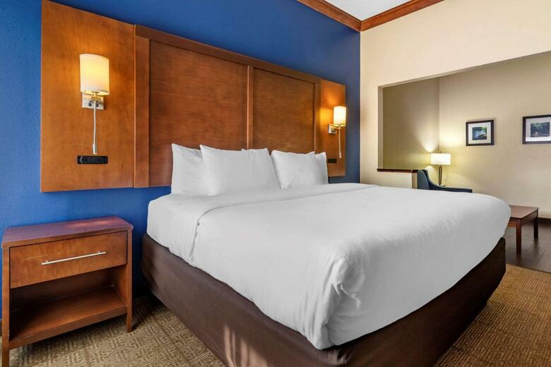Hotel Comfort Inn & Suites Statesboro