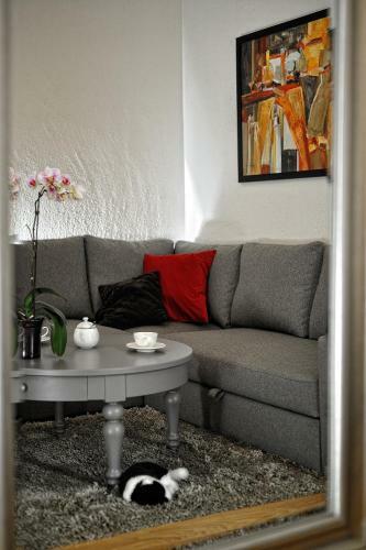 Apartamenty Katarynka Stary Rynek