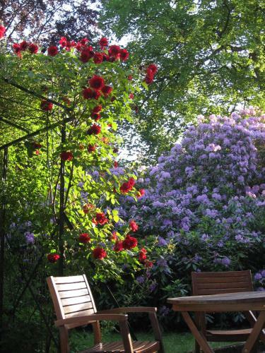 Hotel H�tel-r�sidence La Rubanerie