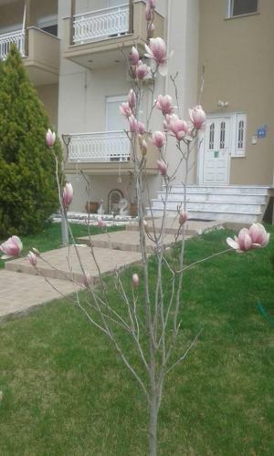 Apartamento Hotel La Strada