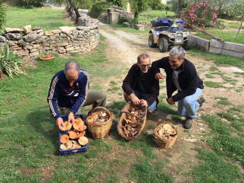 Agroturismo El Rinc�n De Ar�n
