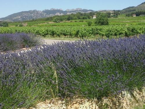 Bed & Breakfast La Dentelli�re