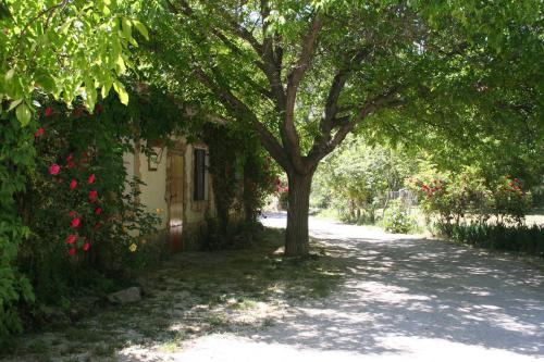 Agroturismo Los Enebros Nerpio