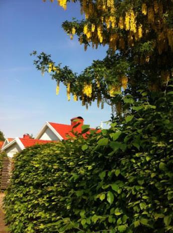 Lodge Eklanda Studio