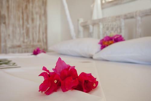 Apartamento Swordfish Villas