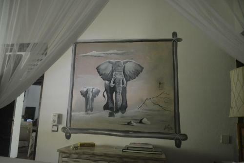 Bed & Breakfast Luna House Moyo Wa Dunia Ltd