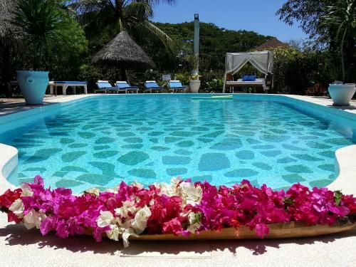 Bed & Breakfast Luna House Moyo Wa Dunia Ltd