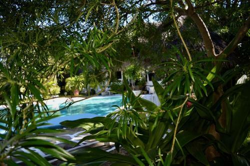 Bed & Breakfast Luna House Moyo Wa Dunia Ltd