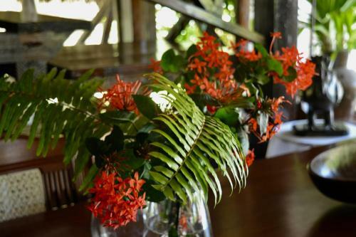 Bed & Breakfast Luna House Moyo Wa Dunia Ltd
