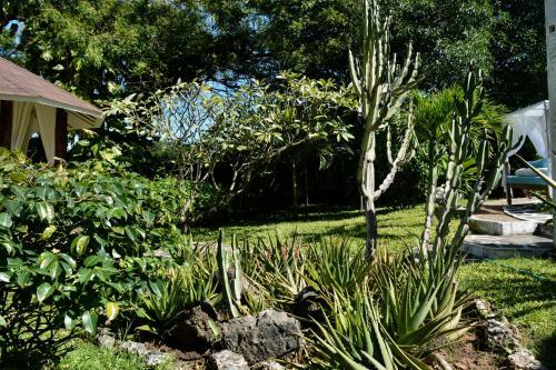 Bed & Breakfast Luna House Moyo Wa Dunia Ltd