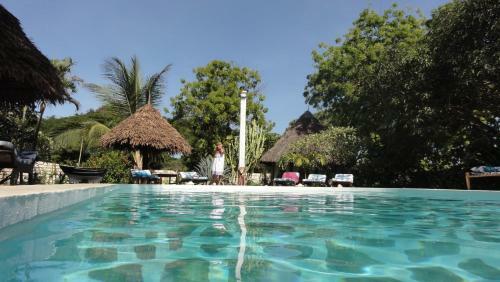 Bed & Breakfast Luna House Moyo Wa Dunia Ltd