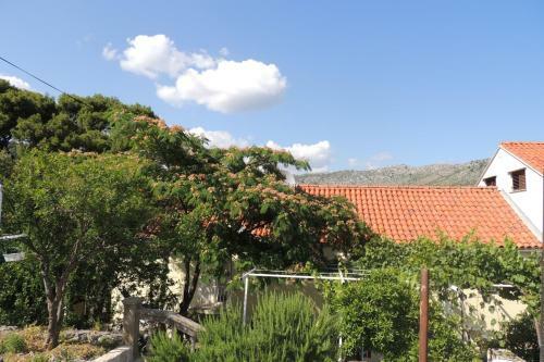 Apartments Lidija