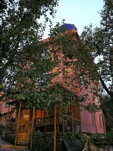 Timeless Hostel Yuanyang