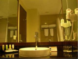 The Arista Hotel Palembang