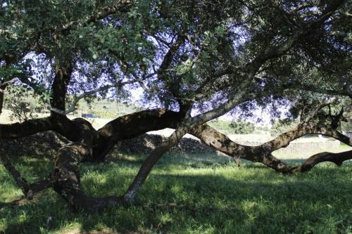 Casa Rural El Tejar