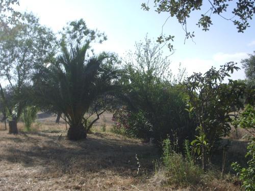 Casa Rural El Tejar