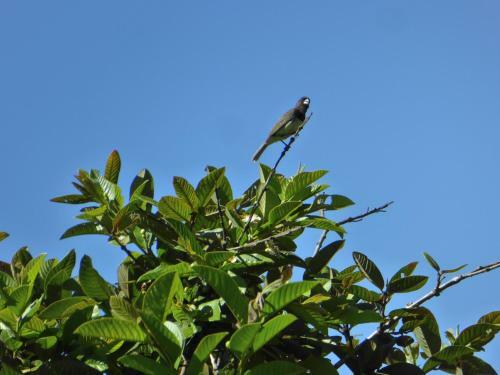 Hotel Finca El Cielo