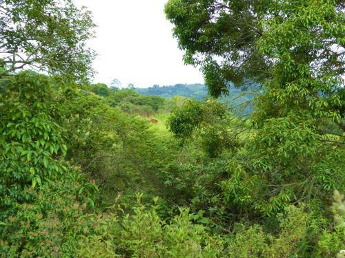 Hotel Finca El Cielo