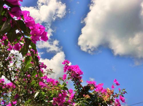 Hotel Finca El Cielo