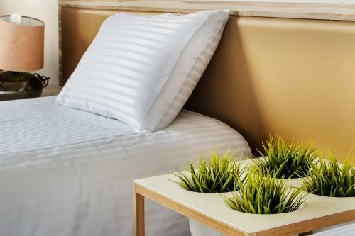 Taitung Spring Homestay B&B