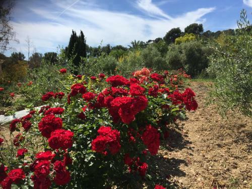 Bed & Breakfast Le Clos De La Ch�vre Sud