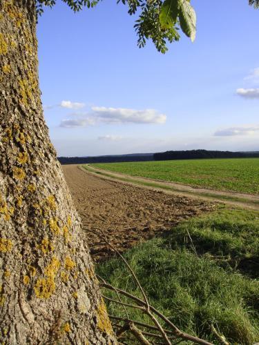 Bed & Breakfast La Grange De Boulaines