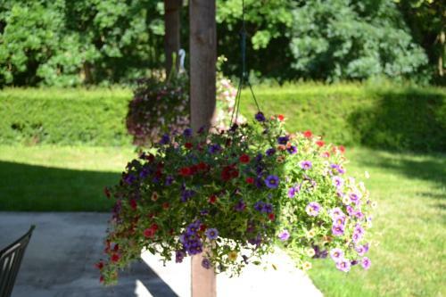 Bed & Breakfast Le Moulin De Lusseau