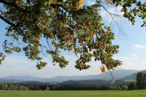 Posada Gasthof Almblick