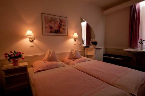 Hostal F�bi�n Panzi�