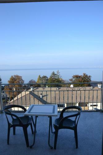 Hotel H�tel Evian Express - Terminus
