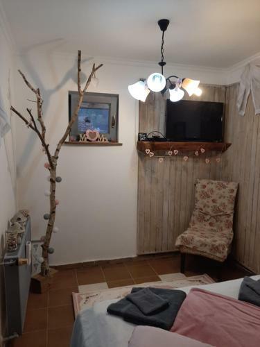 Hostal �des Otthon Vend�gh�z