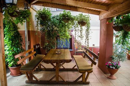 Hostal Arany Patk� Panzi� & �tterem