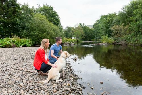 Balgair Castle Holiday Park