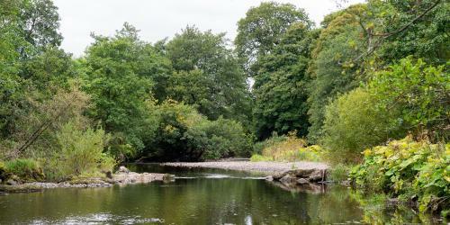 Balgair Castle Holiday Park