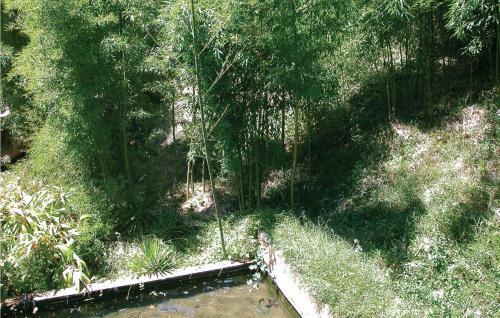 Holiday Home Chemin De Veyrac