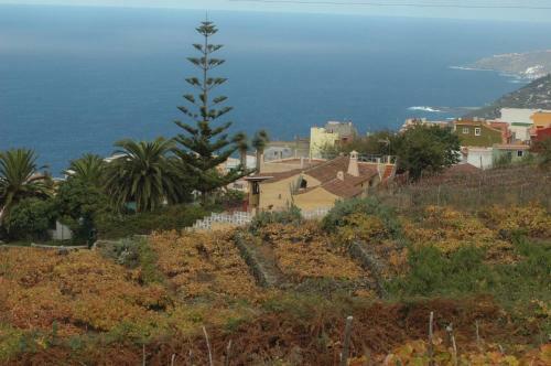 Agroturismo Casa Canarina