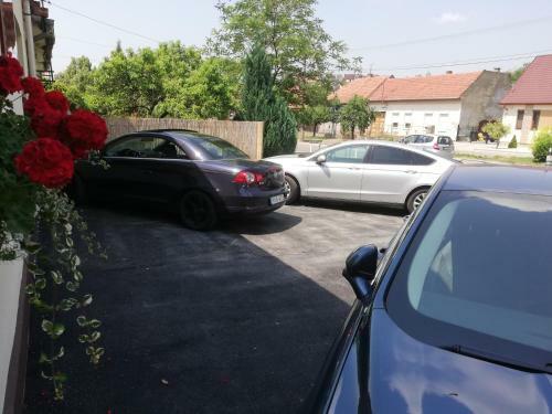 Hostal Gy�ngyszem Vend�gh�z