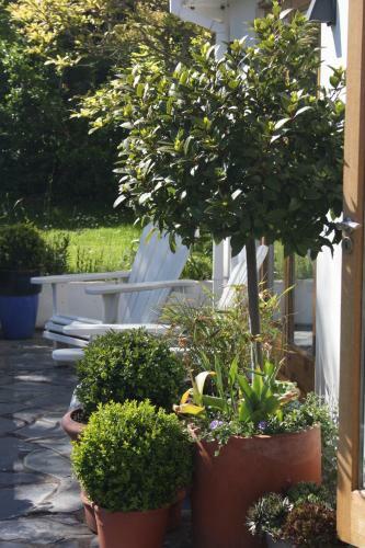 Bed & Breakfast Nearwater