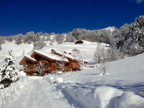 Hotel Chalet La Vigogne Et Spa
