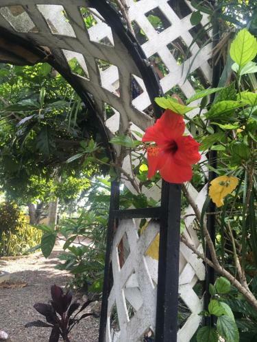 Albergue Sana El Jardin Secreto