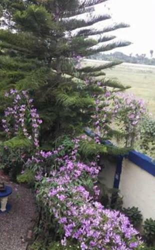 Albergue Sana El Jardin Secreto