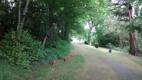 Bed And Breakfast Allt Y Rheini