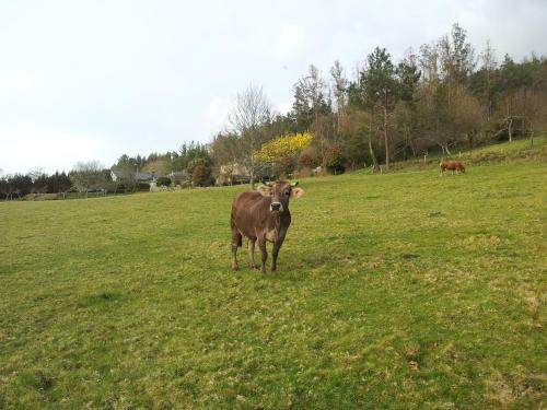 Agroturismo Casa Rural De Gra�a Da Acea